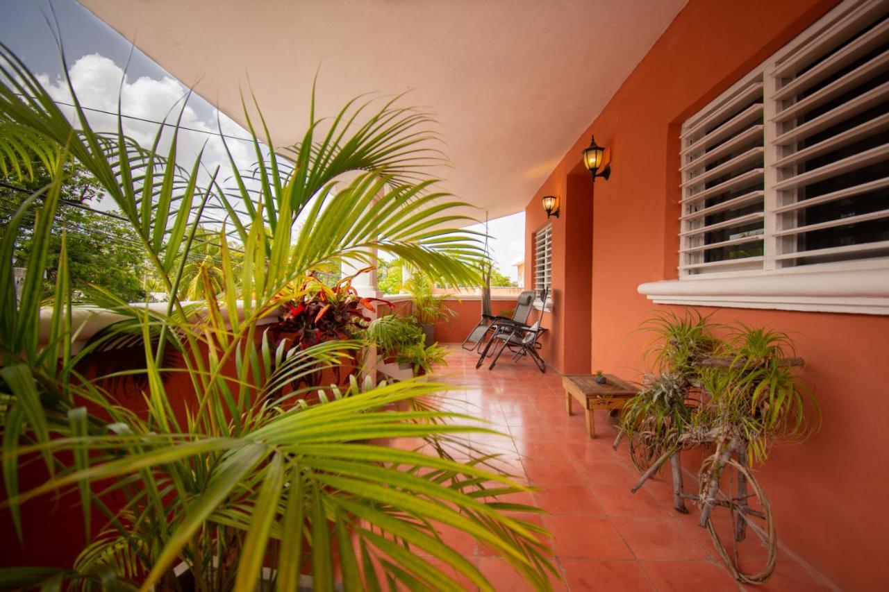 Budgies Cozumel Bagian luar foto