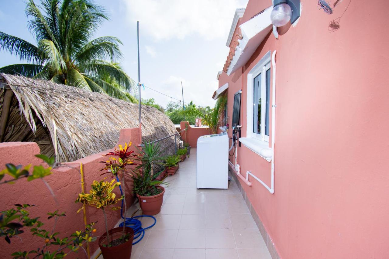 Budgies Cozumel Bagian luar foto